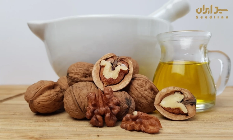 روغن گردو